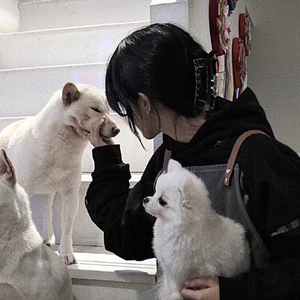 危险拍对（女声翻唱）