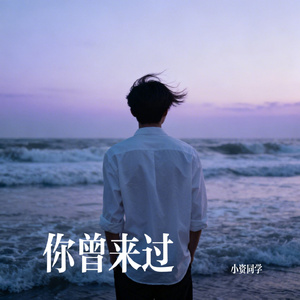 你曾来过