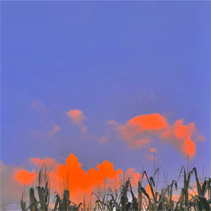 希望之声(原创版)