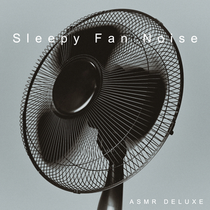 Calming Rotating Fan