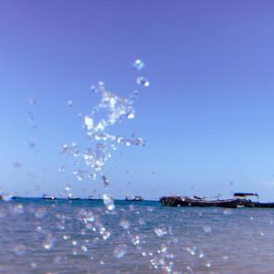 陪你走过一年四季（cover：蓝心羽）