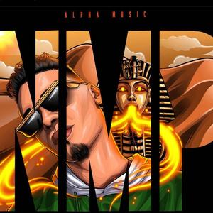 NMP (No More Problems)