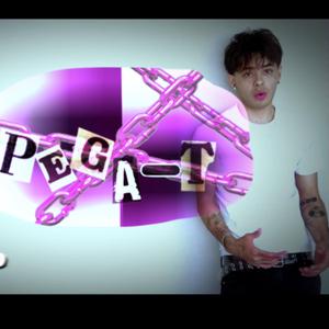 PEGA-T