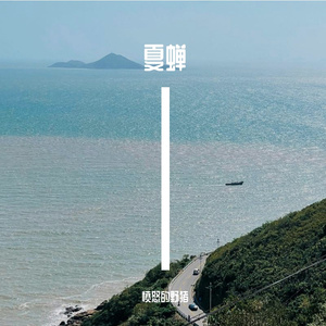 夏蝉