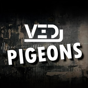 Pigeons