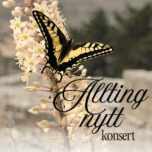 Miraklernas Gud (Live)