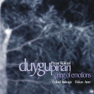 Anadolu (Hüseyni Saz Eseri)