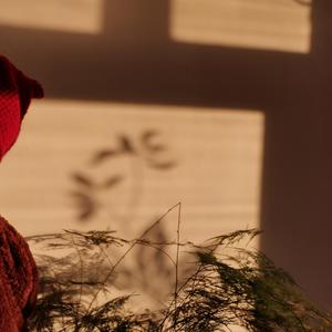 原谅（翻自 张玉华）