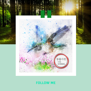 너도 새해복 많이 받아 팻