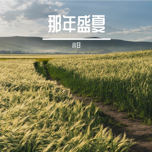 梦里有个地方-整曲