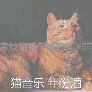 柔和的小猫时刻