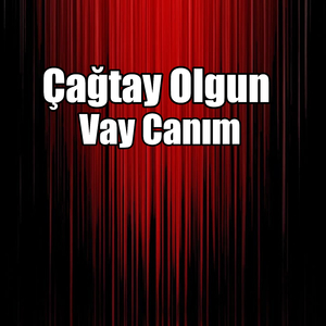 Vay Canım