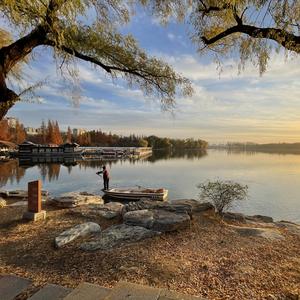 爱尔兰画眉-十孔口琴【伴奏】（翻自 average Joe）