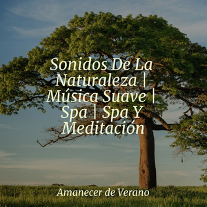 Lamentando Melodías Memorables