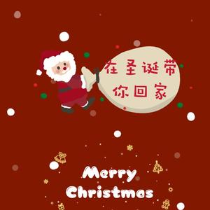 在圣诞带你回家