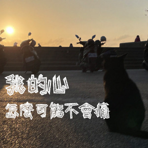 我的心怎么可能不会痛