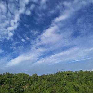 我还有点小糊涂(熊出没)