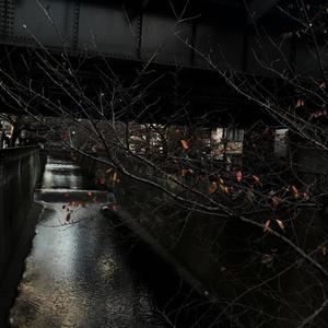 Ludovico Einaudi-Una Mattina & Dream（Bourbon9 / HETR / SKGYR / LIUXIANSEN remix）