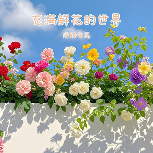 充满鲜花的世界