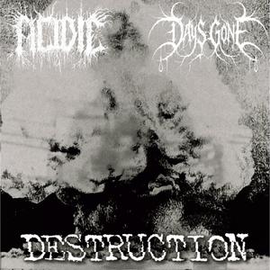 DESTRUCTION (feat. Days Gone)