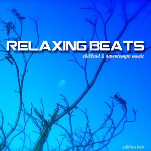 Northern Light (Reload for Relax Edit)