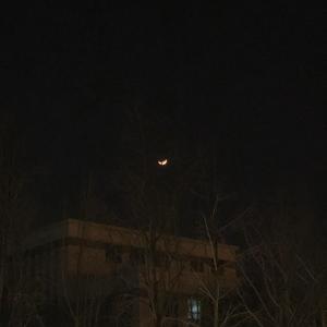 你就是我的小幸运