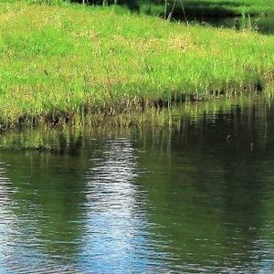 梦里再相遇 (16)