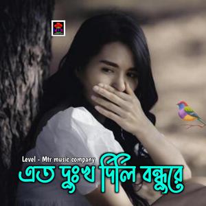 এত দুঃখ দিলি বন্ধুরে