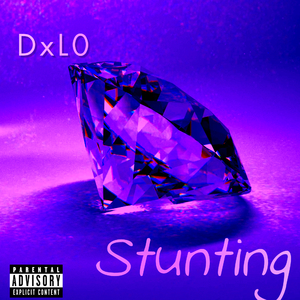Stunting (RadioMix)