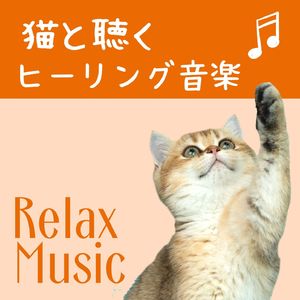 分離不安の減少