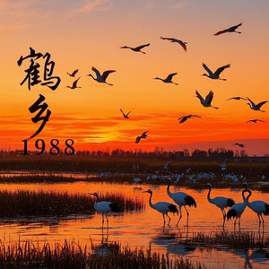 鹤乡1988