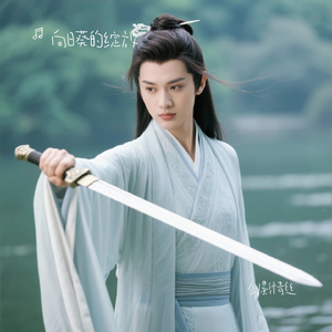 剑影情丝