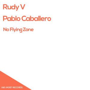 No Flying Zone (Original Mix)