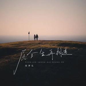 愿今生再相遇 (DJR7版)