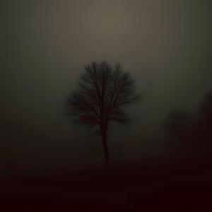 Ölmek İçin Yaşıyoruz