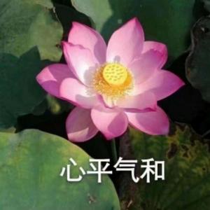 哪里都是你