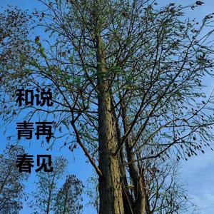 和青春说声再见