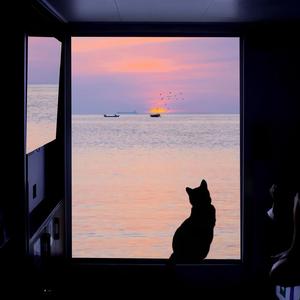 Only One (氛围版)