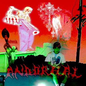 fragile (feat. princess chris)