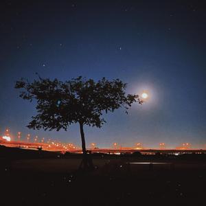 失眠(cover ice paper)