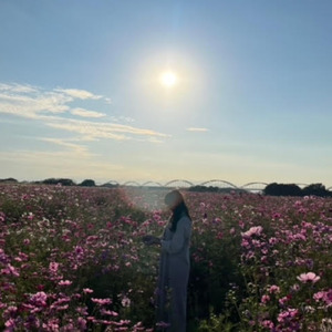 愛犬と心の宝物