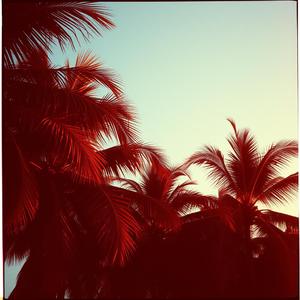 🔥 Ciao Bella (Banger Tropical) 🔥 verse 2 by @justfine001