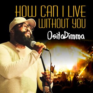 How Can I Live Without You