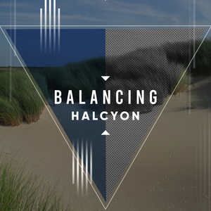 The Shores of the Moon