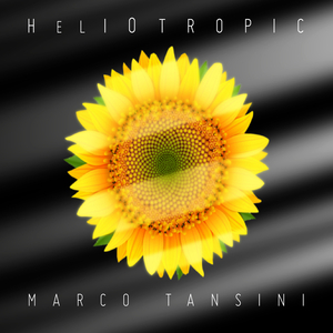 In the light of the world