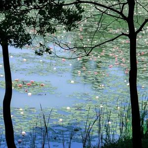 Tidewash（潮汐轻抚）