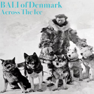 Sommernat i Korsør