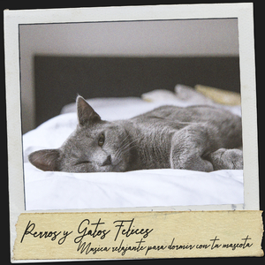 Música relajante para perros