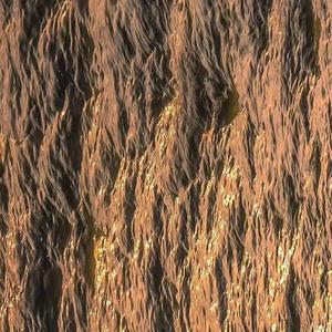 Life will embrace you（prod EVOMUSIC）