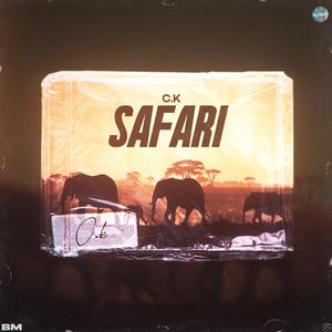 Safari